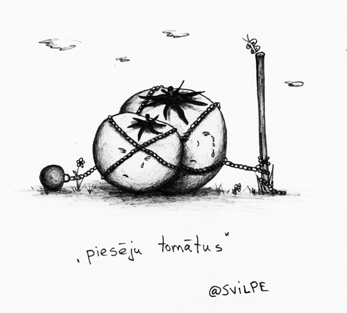 piesēju tomātus - @SVILPE